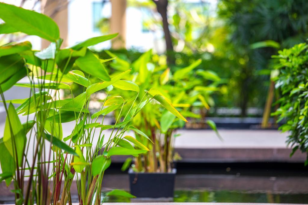 The Capital Resort @ Sukhumvit 50 Bangkok Exteriör bild Plants in a water garden